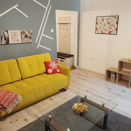 クルージュ＝ナポカApartament Downtownアパートメント エクステリア 写真