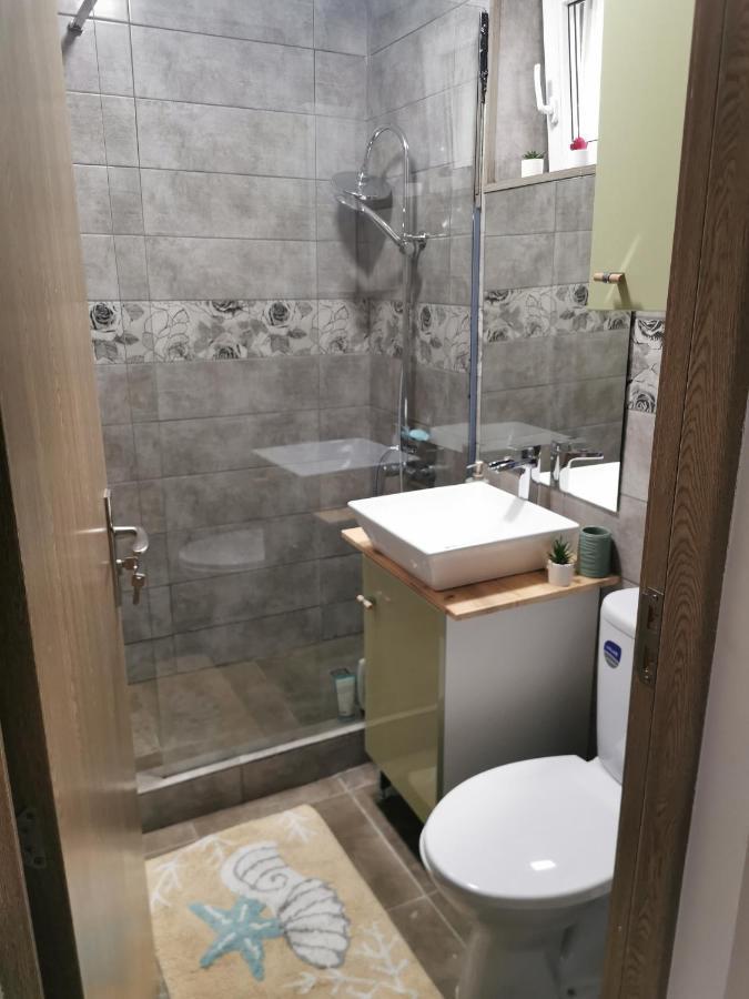 クルージュ＝ナポカApartament Downtownアパートメント エクステリア 写真